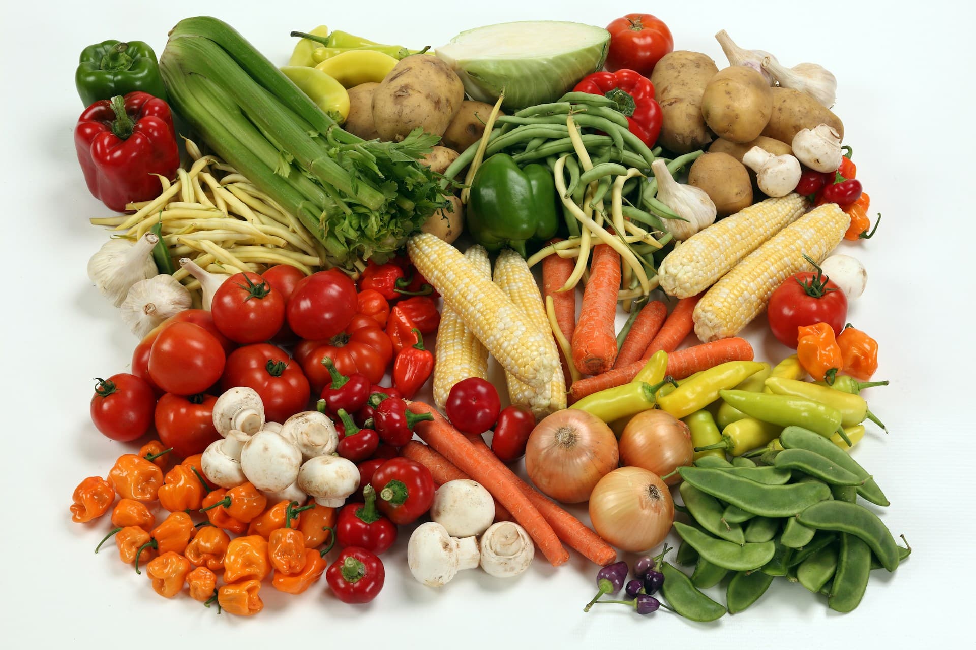 Bunte Auswahl an frischem Gemüse — Grundlage einer nährstoffreichen Longevity-Ernährung